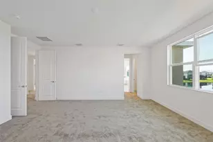 32684 Tamarind Grv Ln, Wesley Chapel, FL 33543 - Photo 30