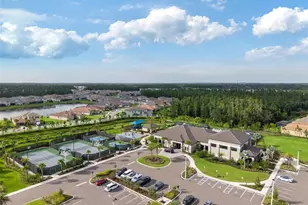 32684 Tamarind Grv Ln, Wesley Chapel, FL 33543 - Photo 58