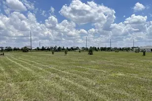 15202 Patterson Rd, Odessa, FL 33556 - Photo 1