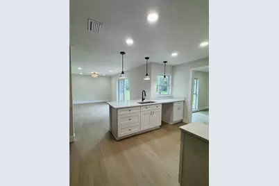 4405 Coconut Cove Place, Valrico, FL 33596 - Photo 10