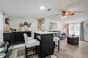 12709 Chihuahua Ct, Thonotosassa, FL 33592 - Photo 10