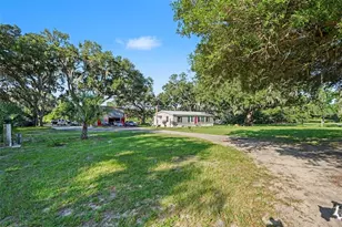 12709 Chihuahua Ct, Thonotosassa, FL 33592 - Photo 4