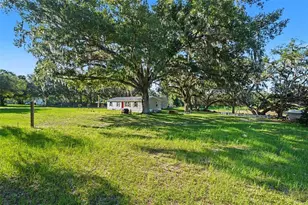 12709 Chihuahua Ct, Thonotosassa, FL 33592 - Photo 32