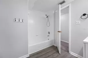 15816 Hound Horn Ln, Tampa, FL 33624 - Photo 58