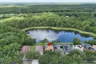 19128 Meadow Pine Dr, Tampa, FL 33647 - Photo 66