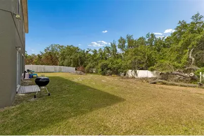 10620 Carloway Hills Drive, Wimauma, FL 33598 - Photo 32