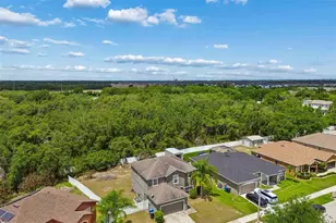 10620 Carloway Hills Dr, Wimauma, FL 33598 - Photo 34