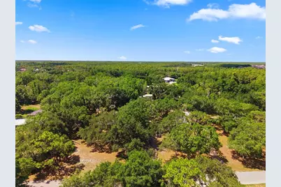 17214 Chinaberry Road, Lutz, FL 33558 - Photo 8