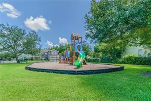 1008 Robinwood Dr, Oldsmar, FL 34677 - Photo 44