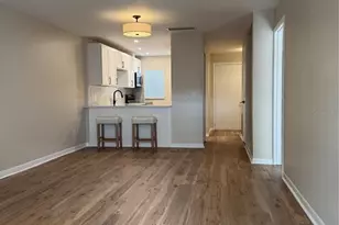 3819 N Oak Dr, Tampa, FL 33611 - Photo 4
