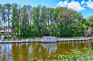 999 Gillespie Dr, Palm Harbor, FL 34684 - Photo 34