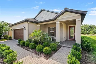 10514 Banyan Breeze Blvd, Land O Lakes, FL 34638 - Photo 1