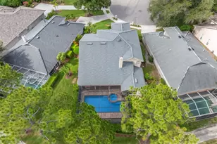 5562 Ave Du Soleil, Lutz, FL 33558 - Photo 48