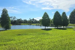 11911 Sand Myrtle Rd, Riverview, FL 33579 - Photo 64