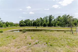 17871 Cortes Creek Blvd, Spring Hill, FL 34610 - Photo 62
