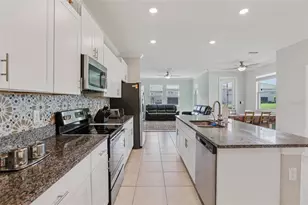 32010 Blue Passing Loop, Wesley Chapel, FL 33545 - Photo 8