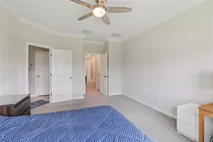 32010 Blue Passing Loop, Wesley Chapel, FL 33545 - Photo 14