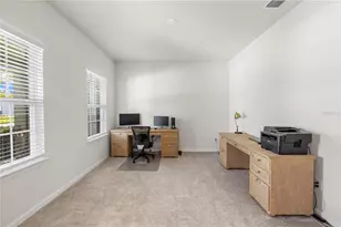 7878 Greenway Ave, Wesley Chapel, FL 33544 - Photo 8
