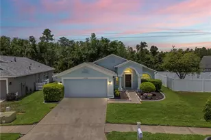31328 Wrencrest Dr, Wesley Chapel, FL 33543 - Photo 58