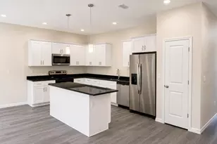 4347 Cambio Gdns Ct, Tampa, FL 33610 - Photo 12