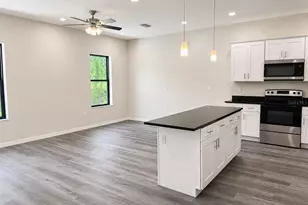 4347 Cambio Gdns Ct, Tampa, FL 33610 - Photo 8