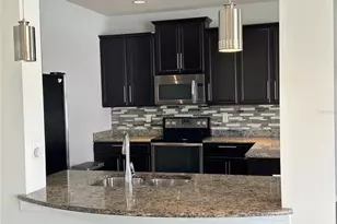 4515 Savannah Holly Pl, Riverview, FL 33578 - Photo 10