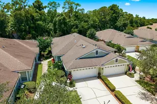 9811 Gingerwood Dr, Tampa, FL 33626 - Photo 40
