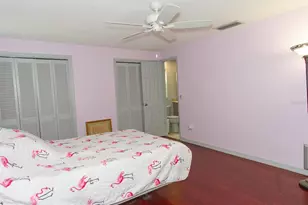 135 Patty Ann Blvd, Palm Harbor, FL 34683 - Photo 14