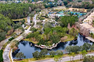 14519 Mirasol Manor Ct, Tampa, FL 33626 - Photo 62