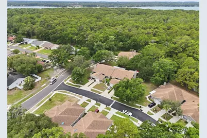 3142 Brooker Creek Way, Palm Harbor, FL 34685 - Photo 36