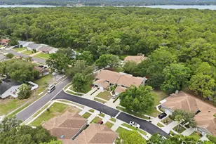 3142 Brooker Creek Way, Palm Harbor, FL 34685 - Photo 36