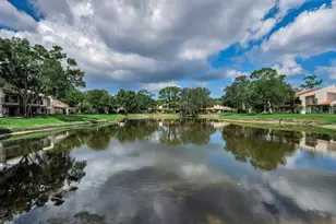 3505 Tarpon Woods Blvd, Palm Harbor, FL 34685 - Photo 8