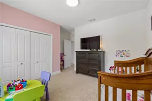 10623 Mistflower Ln, Tampa, FL 33647 - Photo 48