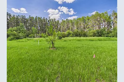 32519 Welling Blade Loop, Wesley Chapel, FL 33545 - Photo 52