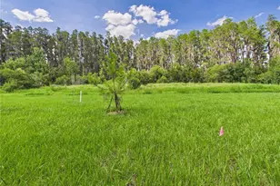 32519 Welling Blade Loop, Wesley Chapel, FL 33545 - Photo 52