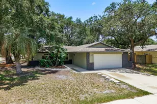 442 Evergreen Dr, Oldsmar, FL 34677 - Photo 4