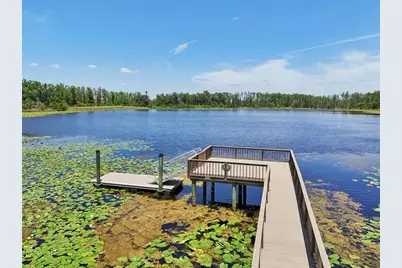 1741 Cherry Walk Road, Lutz, FL 33558 - Photo 58