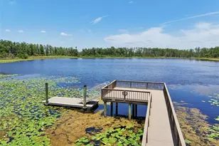 1741 Cherry Walk Rd, Lutz, FL 33558 - Photo 58