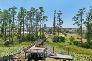 1741 Cherry Walk Rd, Lutz, FL 33558 - Photo 56