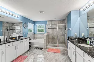 10511 Avian Forrest Dr, Riverview, FL 33578 - Photo 22