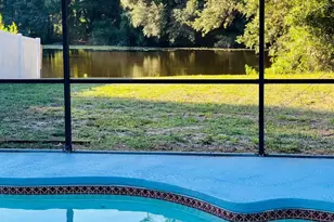 1610 Palm Leaf Dr, Brandon, FL 33510 - Photo 4