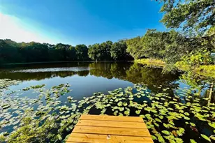 1610 Palm Leaf Dr, Brandon, FL 33510 - Photo 2