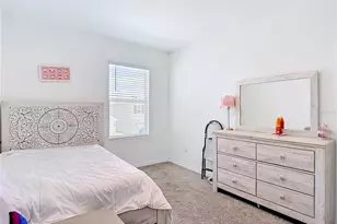 33327 Darley Dl Trl, Wesley Chapel, FL 33545 - Photo 40