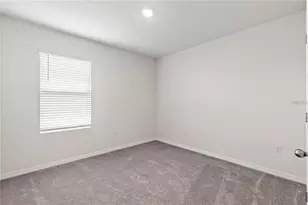 3226 Suncoast Plains Dr, Odessa, FL 33556 - Photo 22