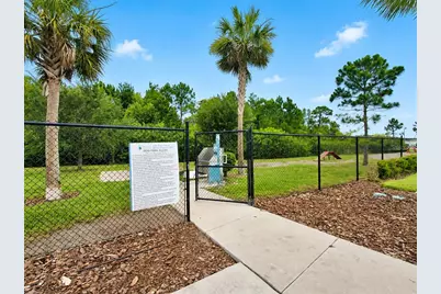 3226 Suncoast Plains Drive, Odessa, FL 33556 - Photo 36