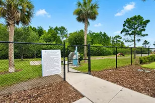 3226 Suncoast Plains Dr, Odessa, FL 33556 - Photo 36