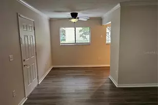11720 Raintree Village Blvd, Temple Terrace, FL 33617 - Photo 4