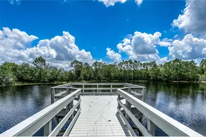 20400 Falling Rock Drive, Land O Lakes, FL 34638 - Photo 28