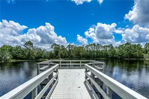 20400 Falling Rock Dr, Land O Lakes, FL 34638 - Photo 28