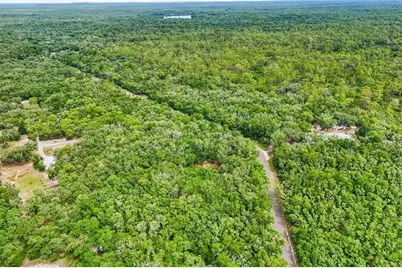 33340 Tombstone St, Webster, FL 33597 - Photo 14